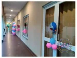 Multiple Themes Birthday Party - Image 5