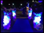 Butterfly Theme - Image 3