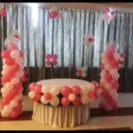 Pink And White Theme