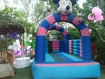 Trampoline (ट्रेम्पोलिन) /Bouncy Castle /  Kids Slide, on Rent for Birthday Parties in Bhopal - Image 7