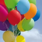 Original Helium Gas Balloons / Air Balloon for Birthday Party in Bhopal.
