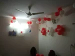 Home Decoration 1 - Image 4