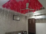 Surprise and Shine - Image 3