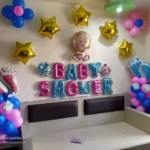 Baby Shower | Dohale Jevan | Party Decoration Ideas | Packages in Bhopal