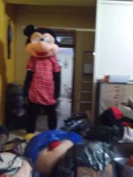 Birthdaywala Provides Costumed Cartoon Characters in for Birthday Parties in Bhopal