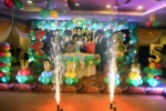 Cold Fire Pyro For Kids Special Entry in Bhopal